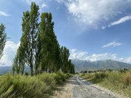 bellissimo Visualizza, vicino issyk kul lago. centrale Asia, Kirghizistan. foto