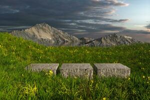 vuoto piattaforma nel il erba campo, 3d resa. foto