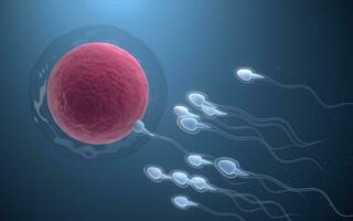 il unione di sperma e un uovo cellula, 3d resa. foto