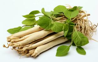 Ashwagandha, anche conosciuto come withania sonnifera, è un' medicinale erba con asciutto radici e fresco le foglie. è anche chiamato indiano ginseng, veleno uva spina, o inverno ciliegia. foto