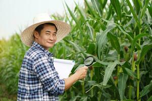 bello asiatico uomo ricercatore detiene ingrandimento bicchiere e carta appunti per Esplorare o ispezionare crescita e malattie di impianti a mais giardino. concetto. agricoltura occupazione, sondaggio e ricerca colture foto