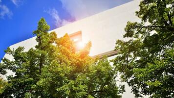 moderno bianca calcestruzzo edificio muri contro blu cielo. eco architettura. verde alberi e calcestruzzo ufficio costruzione. il armonia di natura e modernità. foto