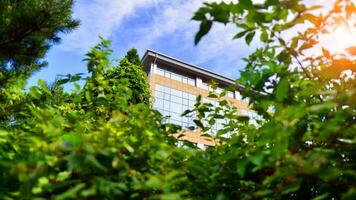 eco edificio nel moderno città concetto. fresco verde alberi e ufficio costruzione, attività commerciale concetto. foto