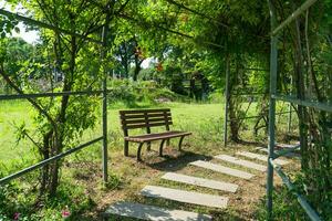 il singolo sedia su il lato di passerella nel il parco. foto