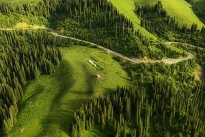 montagne e foresta nel un aereo Visualizza. foto