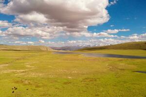 prateria con blu cielo e bianca nuvole. foto nel bayinbuluke prateria nel xinjiang, Cina.