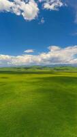 nalati prateria con il blu cielo. foto