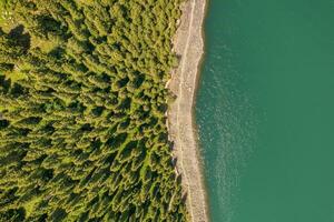 fiume e alberi con senza nuvole giorno. foto