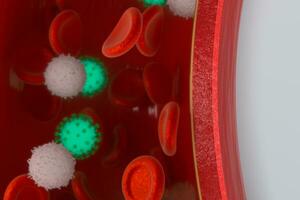 virus nel il sangue nave, con rosso e bianca sangue cellule, 3d resa. foto