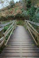 vecchio ponte di legno abbandonato foto