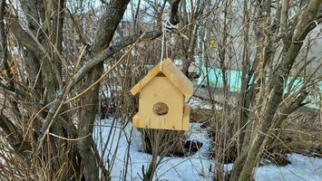 di legno Casa uccello alimentatore nel inverno sospeso su un' cespuglio. foto