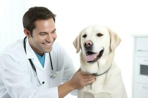 labrador cane da riporto essere esaminato di un' veterinario. foto