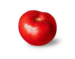 pomodoro isolato. pomodoro su bianca sfondo. Tomat lato Visualizza. pomodoro con gocce. foto