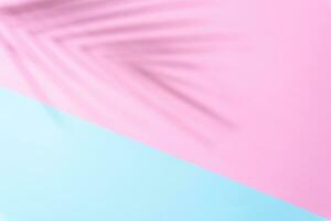 leggero blu e rosa estate colori sfondo con palma ombra foto