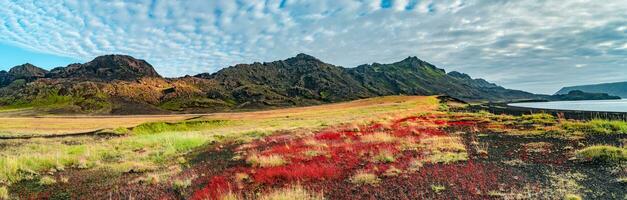 panoramico al di sopra di islandese colorato e selvaggio paesaggio con prato campo, vulcanico nero sabbia spiaggia a il kleifarvatn lago a estate volta, Islanda foto