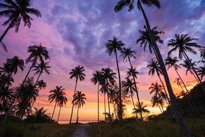 sagoma di palma da cocco al tramonto sulla spiaggia tropicale foto