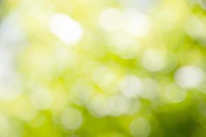 bokeh verde sulla natura defocus arte astratta sfocatura sfondo sfocato di foglia verde con luce del mattino foto