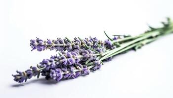 viola erbaceo fiore, natura profumato mazzo, su bianca sfondo generato di ai foto