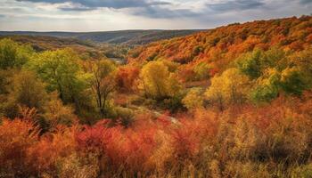 autunno foresta, giallo foglie, vivace colori, tranquillo prato, panoramico cielo generato di ai foto