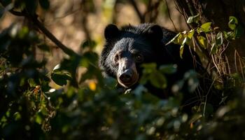 un' carino canino a piedi nel il foresta, guardare a telecamera generato di ai foto