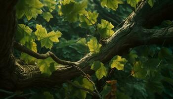 vivace autunno le foglie adornano il vecchio albero nel il foresta generato di ai foto