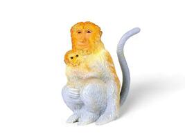 proboscide scimmia con cuccioli miniatura animale su bianca sfondo foto