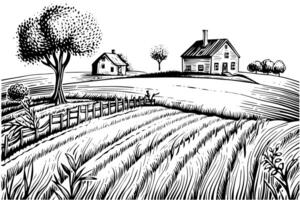 vigneto paesaggio incisione stile. Vintage ▾ mano disegnato schizzo vettore illustrazione. foto