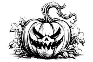 Halloween zucca testa portafortuna incisione inchiostro schizzo mano disegnato vettore illustrazione. foto