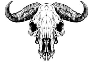 bufalo cranio mano disegnato vettore illustrazione nel incisione stile inchiostro schizzo. foto