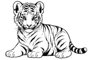 mano disegnato incisione stile schizzo di un' tigre cucciolo, vettore inchiostro illustrazione. foto