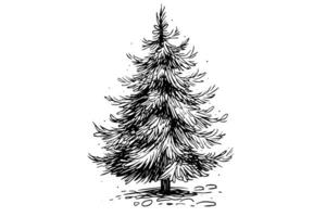 Natale albero vettore illustrazione. mano disegnato, incisione, inchiostro, schizzo. foto