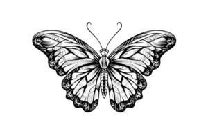 farfalla schizzo. mano disegnato incisione stile vettore illustrazione. foto