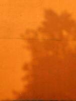 arancia muri con leggero ombre foto