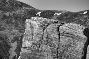 gabbiani seduta su un' roccia nel fiordo nel Norvegia. ruvido pietra struttura. selvaggio uccelli foto