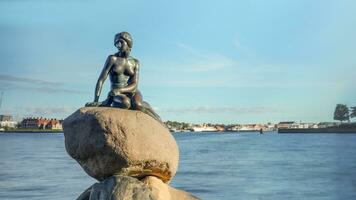poco sirena statua su roccia nel Danimarca foto