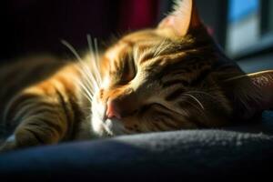 un' vicino su di un' gatto addormentato su un' divano generativo ai foto