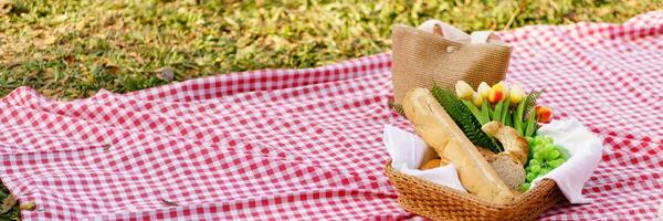 picnic pranzo pasto all'aperto parco con cibo picnic cestino. godendo picnic tempo nel parco natura all'aperto foto