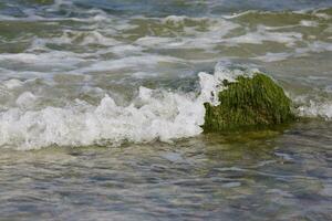 mare paesaggio con un' masso coperto di vegetazione con verde alghe e onde di il mare nel il sfondo foto