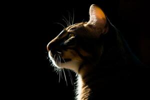 un' gatto è staglia contro un' nero sfondo generativo ai foto