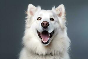 un' vicino su di un' bianca cane con suo bocca Aperto generativo ai foto