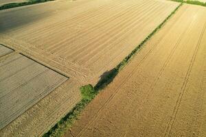 alto angolo panoramico paesaggio Visualizza di Britannico agricolo aziende agricole a campagna paesaggio di sharpenhoe battagli, luton città di Inghilterra UK. metraggio catturato su agosto 19, 2023 foto