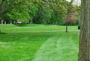 bellissima Basso angolo Visualizza di Locale pubblico parco di luton Inghilterra UK foto