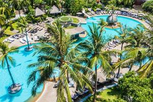 palma da cocco intorno alla piscina foto