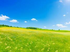 naturale colorato panoramico paesaggio con molti selvaggio fiori di margherite contro blu cielo. ai generato foto