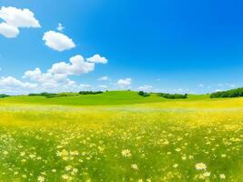 naturale colorato panoramico paesaggio con molti selvaggio fiori di margherite contro blu cielo. ai generato foto