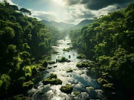 aereo Visualizza di pioggia foresta a il luce del giorno ai generativo foto