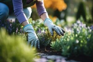 fotografia di un' donna nel giardino guanti piantare fiori per crescere fiori nel sua giardino. generativo ai foto