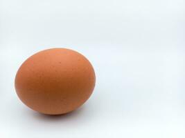 Marrone pollo uovo posa posizione isolato su bianca sfondo con negativo spazio foto