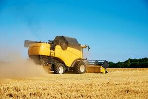 combinare mietitore raccolta d'oro maturo Grano nel agricolo campo foto