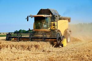 combinare mietitore raccolta d'oro maturo Grano nel agricolo campo foto